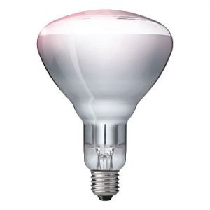 BR125 IR 150W E27 230-250V CL 1CT/10 Żarówka 923211943801 PHILIPS - 6a0b953a4c8233c98d63cd92b8f02aeb08167956.jpg