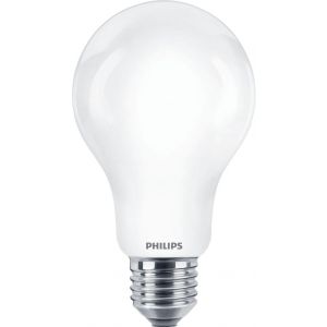 Żarówka LED 150W A67 E27 2700K barwa ciepła indeks wycofany PHILIPS - bb53fa7054e90acd85dcb3b5f57f90dceaf410b2.jpg