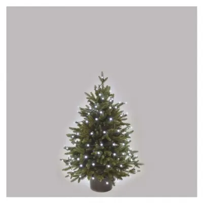 Lampki choinkowe 80 LED cherry 8m zimna biel zielony przewód IP44 8 programów timer EMOS (D5AC22)