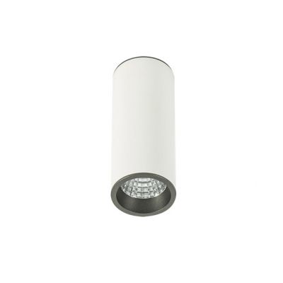 ITALUX lampa natynkowa Moldes Big WH/GR Ceiling 3000K LED, zintegrowany 12W 100-240V 25-42V, 300mA 8 (SLC7392/12W 3000K WH+GR)