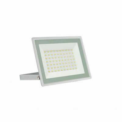 Naświetlacz NOCTIS LUX 3 50W NW 230V IP65 biały  SLI029055NW_PW Spectrum Led (SLI029055NW_PW)