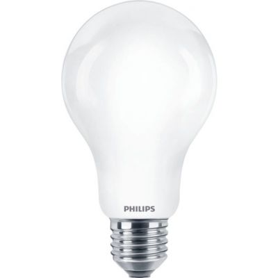 Żarówka LED 150W A67 E27 6500K barwa zimna indeks wycofany PHILIPS (929002372801)