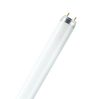 Świetlówka G13 18W 865 6500K L18W/860 4050300517773 LEDVANCE (4050300517773)