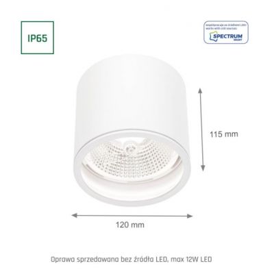 Oprawa natynkowa CHLOE GU10 250V IP65 120x115mm biały okrągła nieruchoma  SLIP005031 Spectrum Led (SLIP005031)