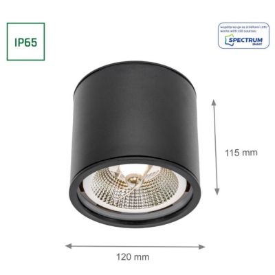CHLOE AR111 GU10 IP65 okrągła czarna nieruchoma partia 2  SLIP005032 Spectrum Led (SLIP005032)