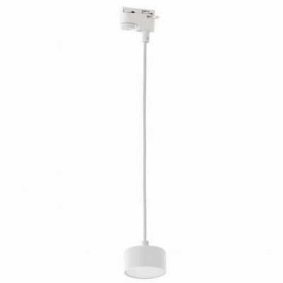 TK-Lighting głowica do szyny TRACER 1xCOB*10W (4273)