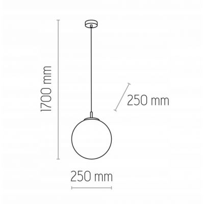 Lampa MAXI LAMPA WISZĄCA 1 PŁ 250E_27 - LED Max 15W (3476)