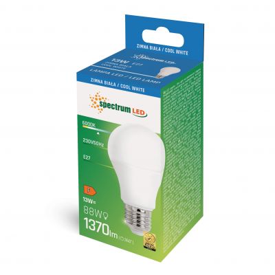 Żarówka LED GLS E27 13W 1300lm 6000K zimna biel  (WOJ+13891)