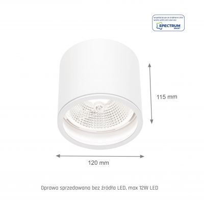 Oprawa natynkowa CHLOE GU10 250V IP65 120x115mm biały okrągła nieruchoma  SLIP005031 Spectrum Led (SLIP005031)