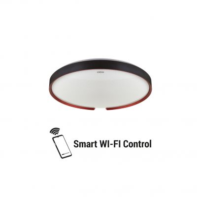 Plafoniera SMD LED ESPERANTO LED C 24W IDEUS (04076)