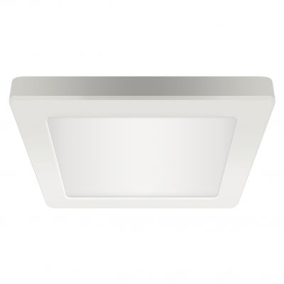 Oprawa sufitowa SMD LED OLGA LED D 24W WHITE CCT IDEUS (04063)