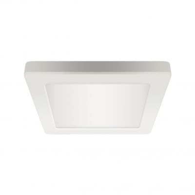 Oprawa sufitowa SMD LED OLGA LED D 12W WHITE CCT IDEUS (04061)