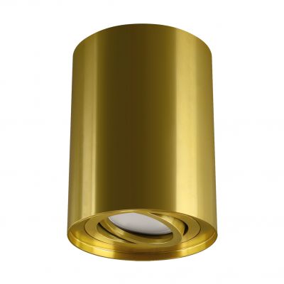 Oprawa natynkowa downlight złota HARY C GU10 GOLDEN 04238 STRUHM (04238)