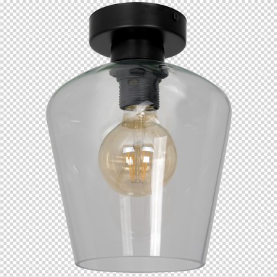 MILAGRO Lampa sufitowa SANTIAGO CLEAR 1xE27 (MLP6602)