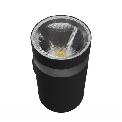 Oprawa natynkowa elewacyjna TORRE RING 9W ciepła/neutralna/zimna biel 230V (SLI003025CCT_PW)