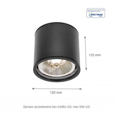 CHLOE AR111 GU10 IP65 okrągła czarna nieruchoma partia 2 SLIP005032 Spectrum Led (SLIP005032)