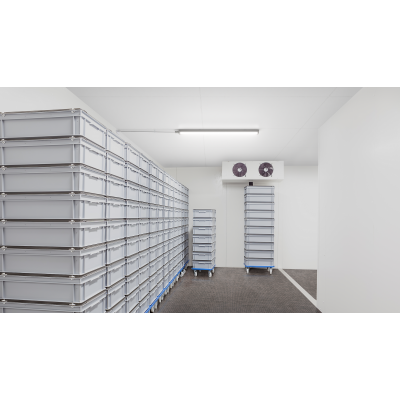 Oprawa hermetyczna Ledinaire WT060C 46W 5600lm IP66 4000K barwa neutralna LED56S/ 840 PSU 150cm BN 5 lat gw. PHILIPS (911401876880)