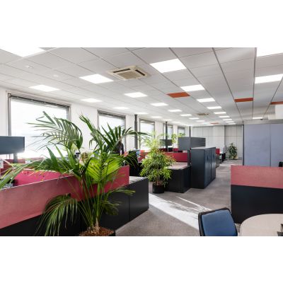 Konwerter ZIGBEE 3.0 DALI CONV LI LEDVANCE (4062172044776)