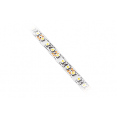 GTV TAŚMA FLASH 3528, 600 LED ZIMNY BIAŁY, 48W BEZ ŻELU 8mm, ROLKA 5m LD-3528-600-20-ZB (LD-3528-600-20-ZB)
