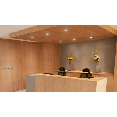Oprawa sufitowa Downlight typu Spot LED G2 6W 550lm IP20 4000K barwa neutralna ściemnialna LDNR LED5-36/ 840 PSR II WH 5 lat gw. PHILIPS (929002669832)
