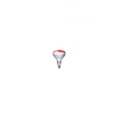 Żarówka specjalna  BR125 IR 250W E27 230-250V Red 1CT/10 923212043801 PHILIPS (871150057521025)