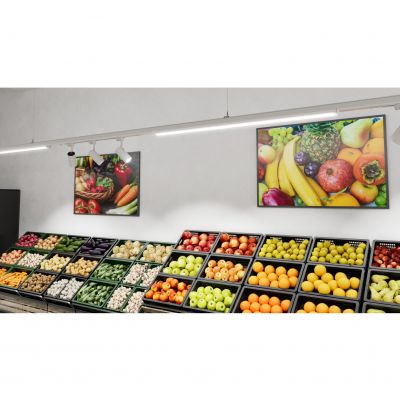 Oprawa TRUSYS FLEX FEED OUT BOX 5P WT LEDVANCE (4058075782013)