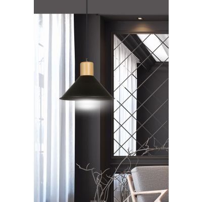 Emibig lampa wisząca ROWEN 1 BLACK E27 60W MAX 1044/1 (1044/1)