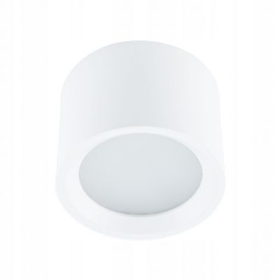Lampa zewnętrzna BOL ogrodowa plafon punktowy biały tuba 10483 NOWODVORSKI (10483)