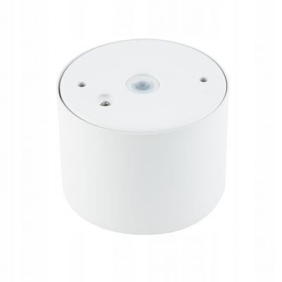 Lampa zewnętrzna BOL ogrodowa plafon punktowy biały tuba 10483 NOWODVORSKI (10483)