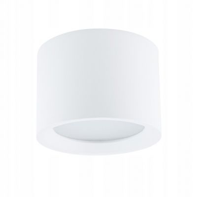 Lampa zewnętrzna BOL ogrodowa plafon punktowy biały tuba 10483 NOWODVORSKI (10483)