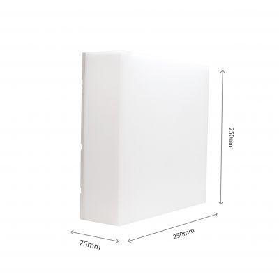 Lampa elewacyjna kinkiet SCATOLLO 20W ciepła/neutralna/zimna biel IP54  SLI003038CCT_PW  SPECTRUM (SLI003038CCT_PW)