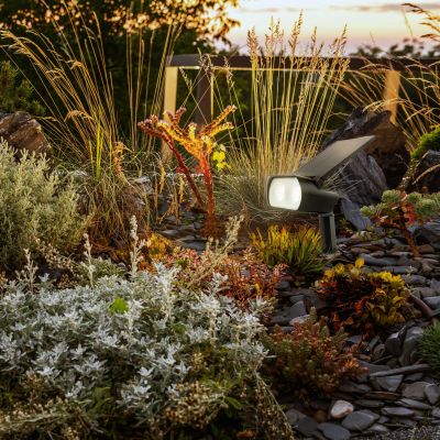 Lampa wbijana solarna ogrodowa OCULUS SOLARIS IP65 2W czarny + pilot (SLI049002)