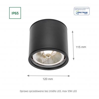 CHLOE AR111 GU10 IP65 okrągła czarna nieruchoma partia 2 SLIP005032 Spectrum Led (SLIP005032)