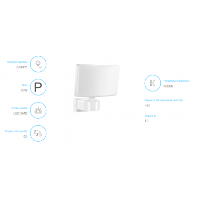 Naświetlacz ogrodowy LED 2200lm IP65 4000K PC biały TOS 30W AD-NL-6148WL4 ORNO (AD-NL-6148WL4)